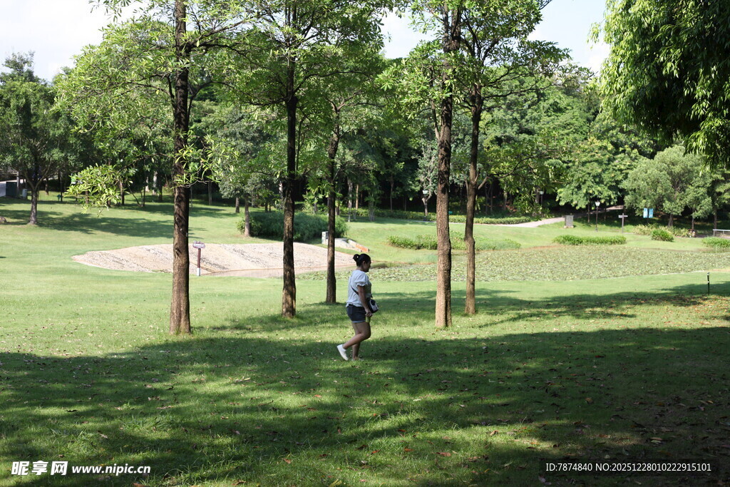 公园绿荫下的休闲场景