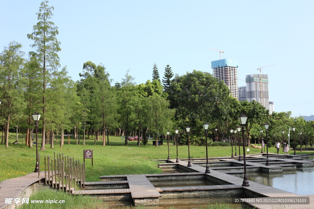 城市公园湖畔休闲景致