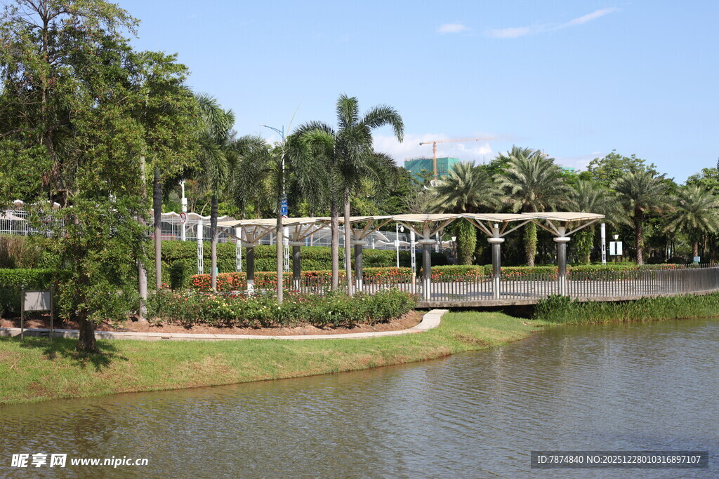 湖畔绿荫环绕的休闲景致