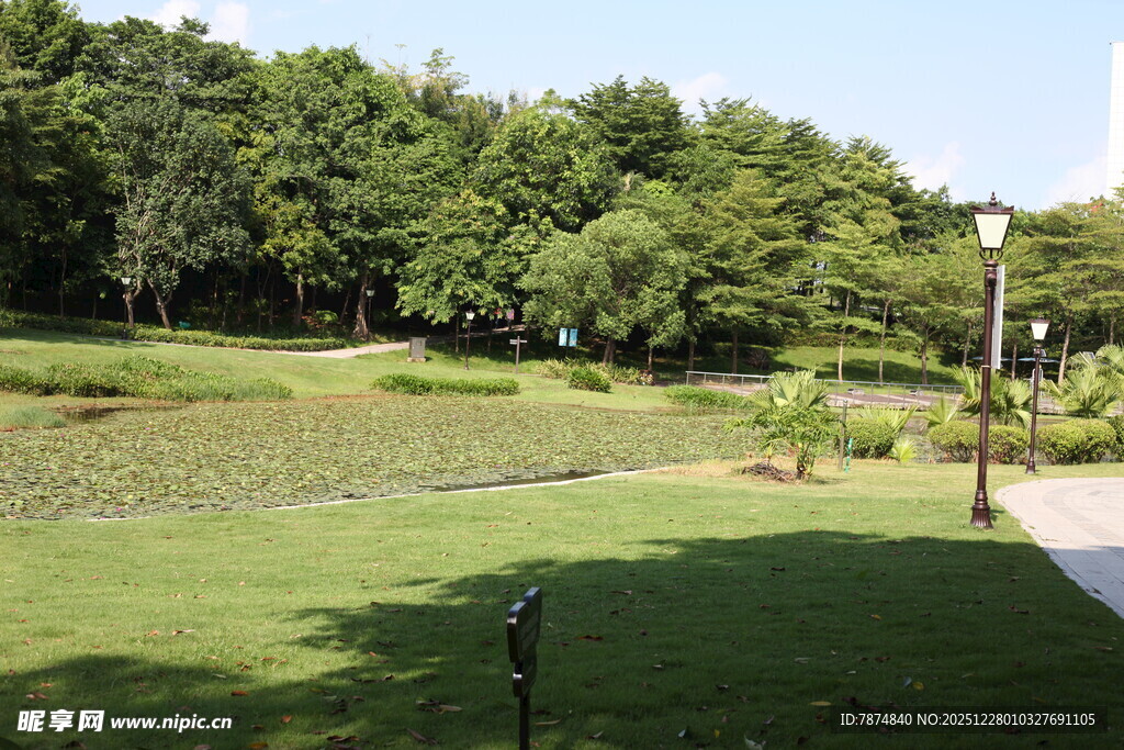 城市中的静谧绿色公园