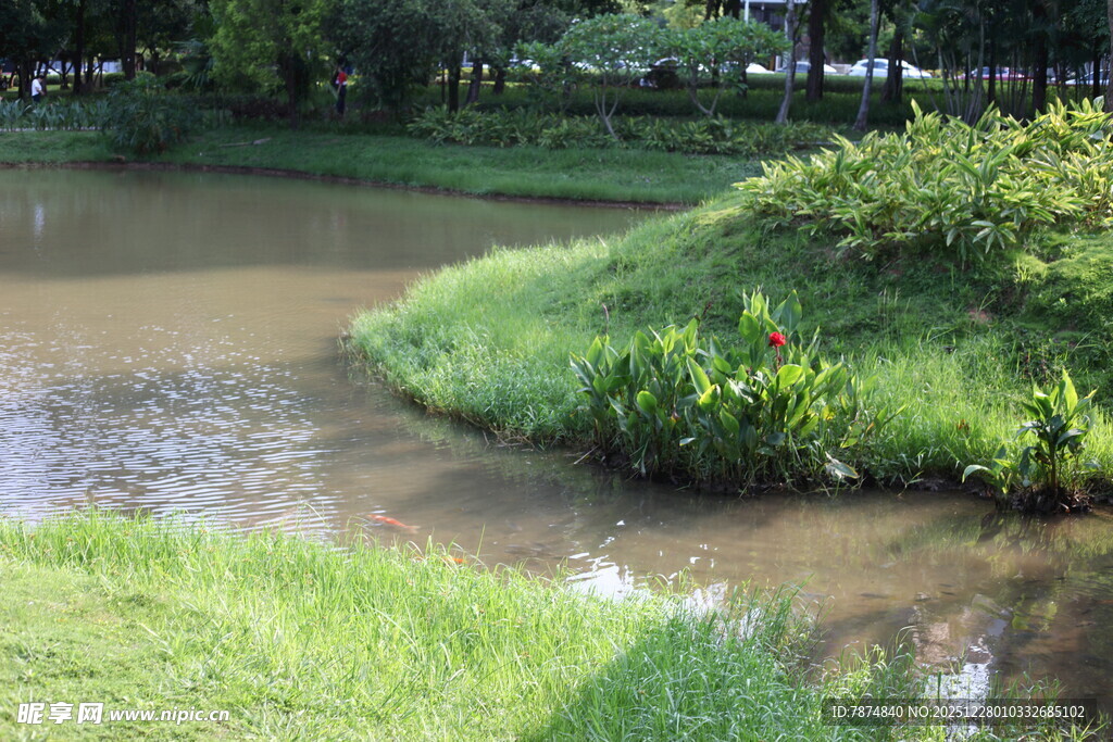 河畔绿意盎然的自然景致