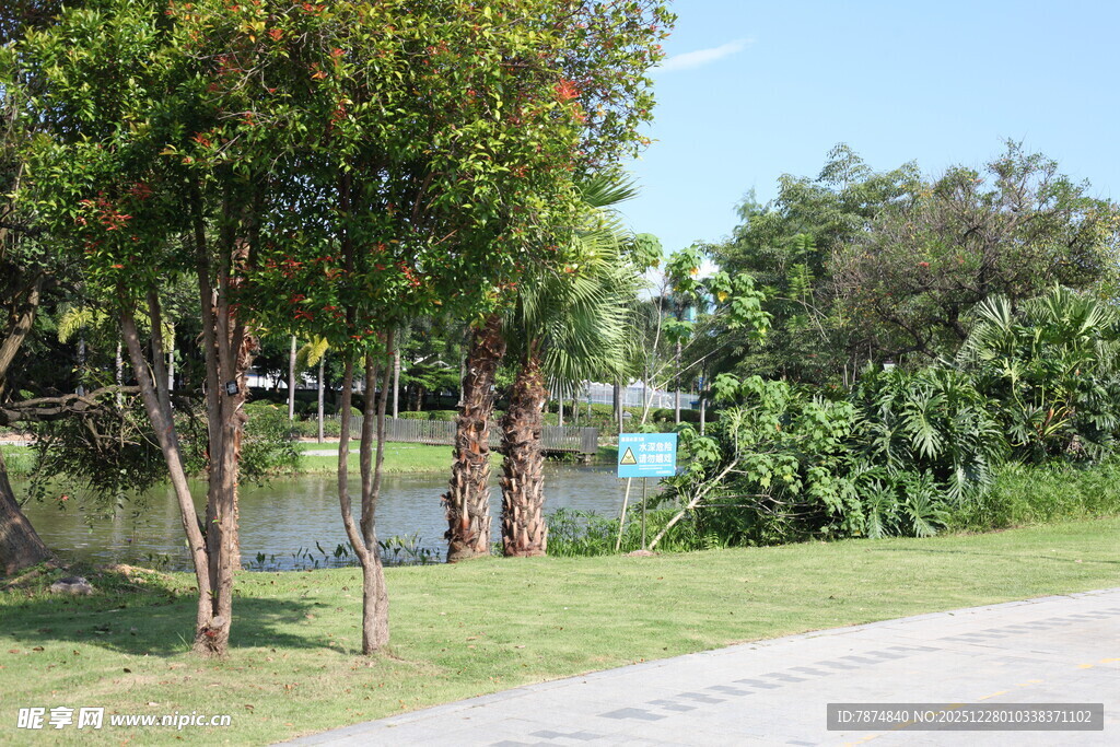 路边河畔绿树成荫景致