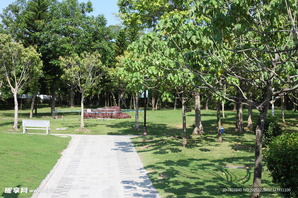 绿意盎然的林间休闲小径