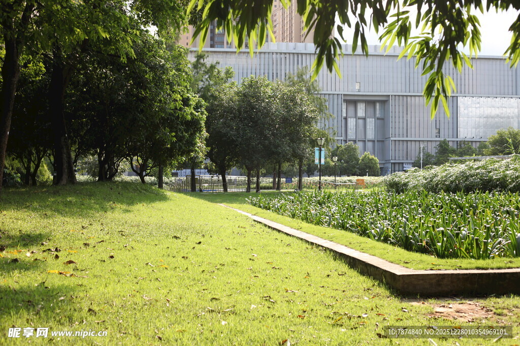 绿意盎然的庭院景观