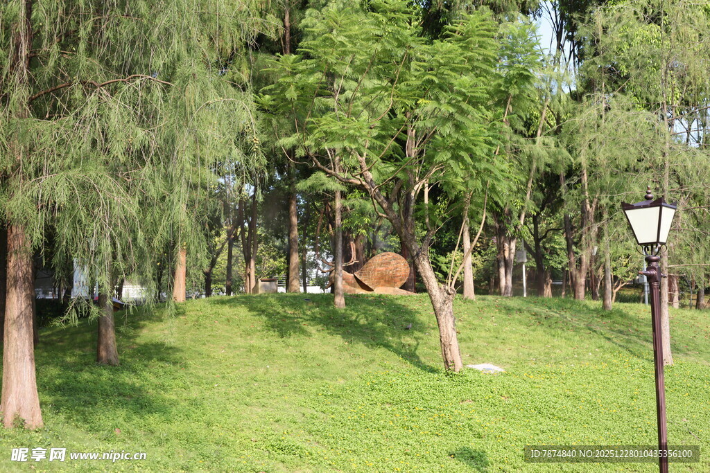 绿意盎然的林间草地景观