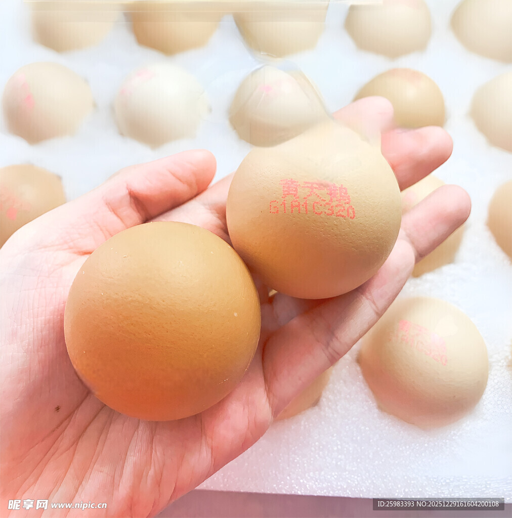 鸡蛋