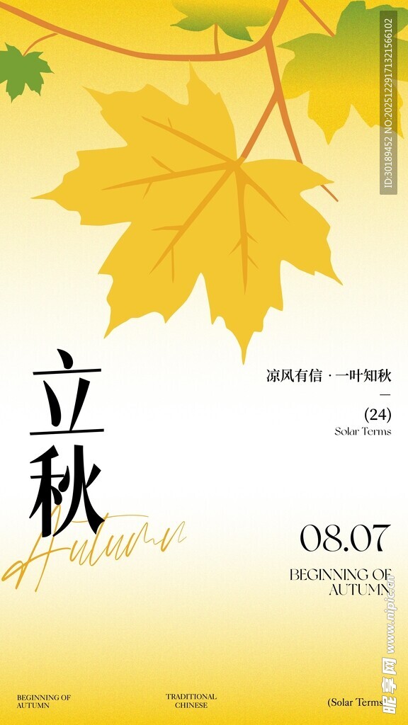 立秋时节金黄枫叶飘海报