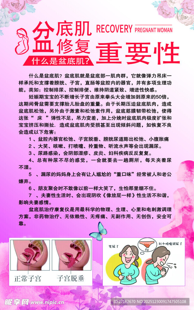盆底肌修复