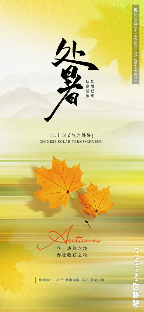 秋日风景一叶知秋意境美