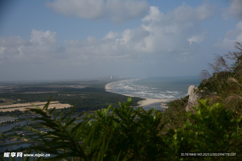 俯瞰海岸与葱郁植被