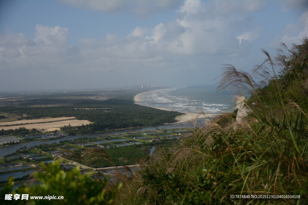 俯瞰海岸线与繁茂植被