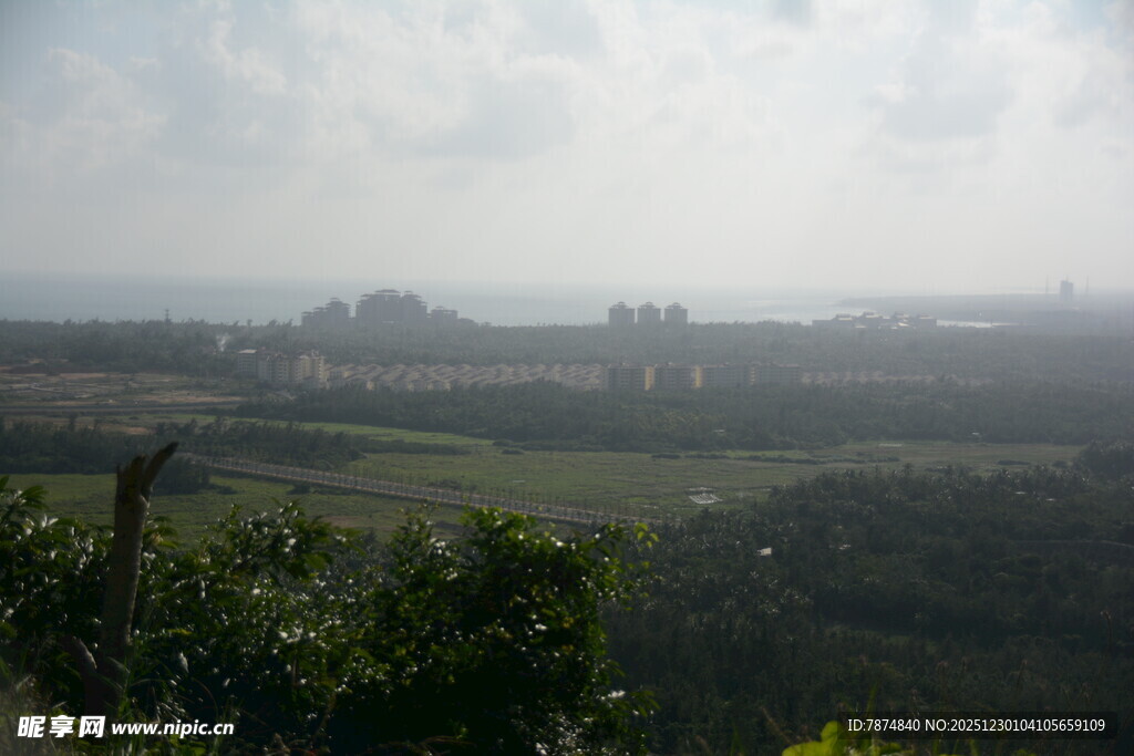 俯瞰绿意盎然的开阔景致