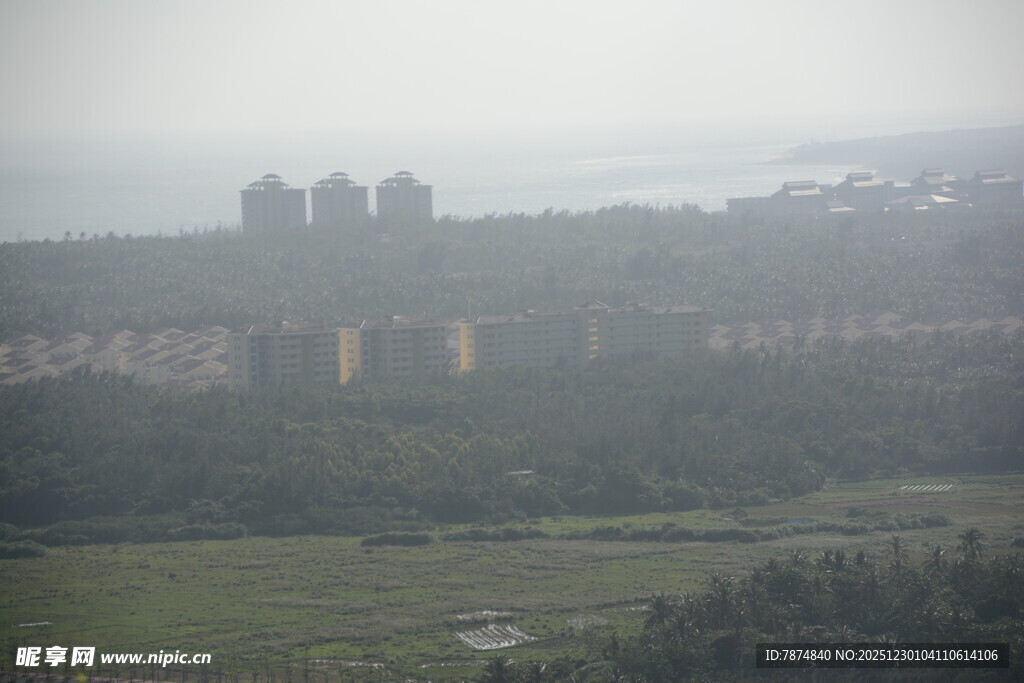 雾中城市与绿地景观