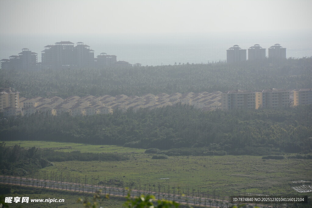 雾中城市与绿地景观
