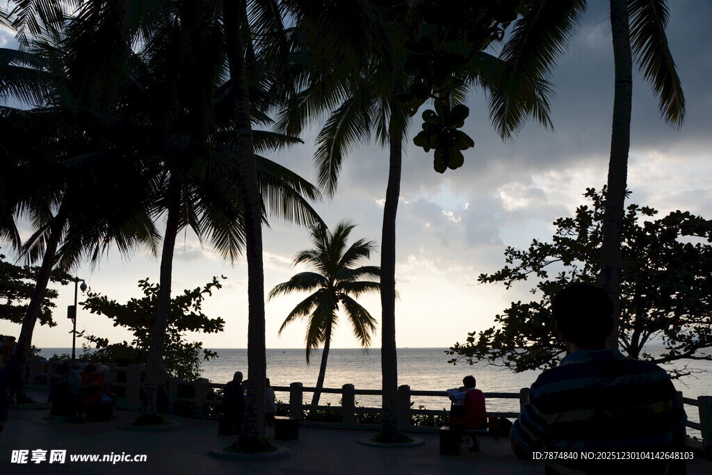 黄昏下的椰林海滨风光