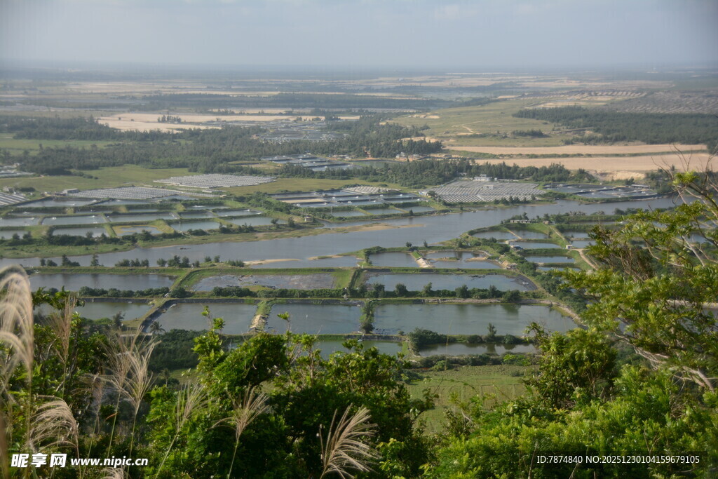 俯瞰水乡田园风光