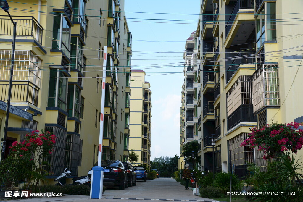 居民楼间的宁静巷道