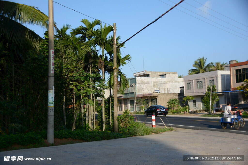 街道行人与绿植景观