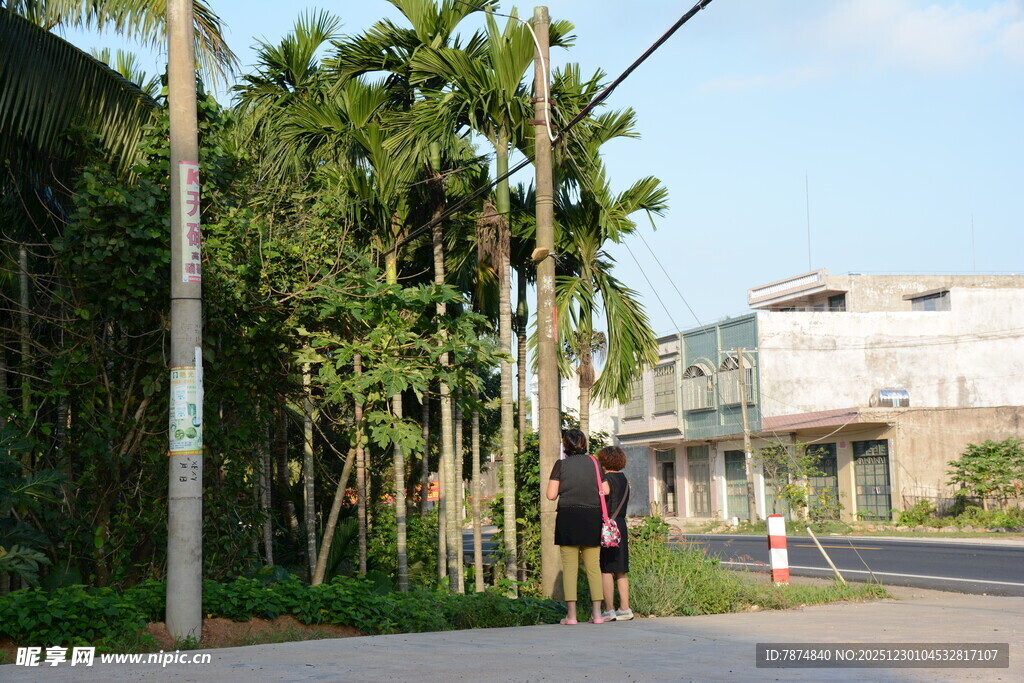 行人漫步于绿树成荫街道