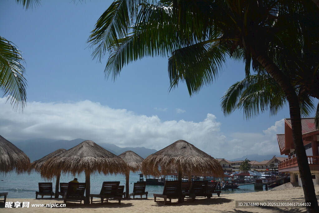 海滨沙滩上的茅草遮阳伞