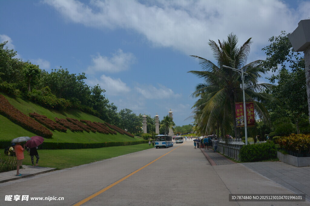 热带风光中的宽阔道路