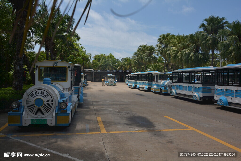 景区内的特色观光车队列