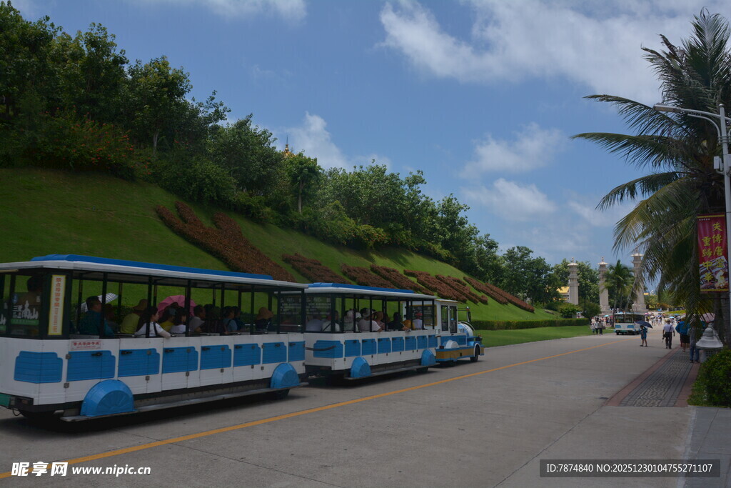 街道上的蓝白相间观光巴士