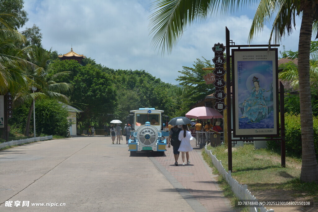 海滨林荫道上的悠闲漫步