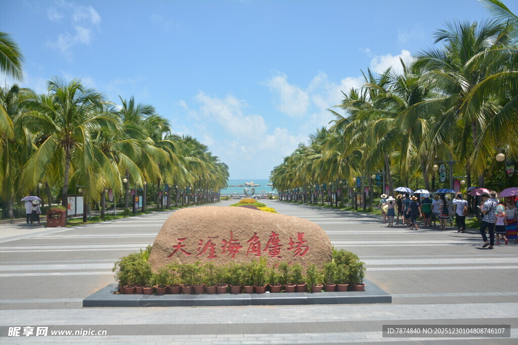 椰林大道入口处的景观石