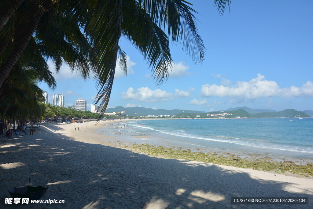 美丽热带海滩风光