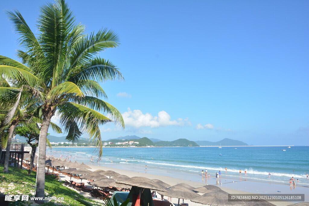 美丽海滨沙滩风光