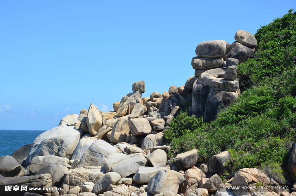 海边嶙峋岩石与绿植景观