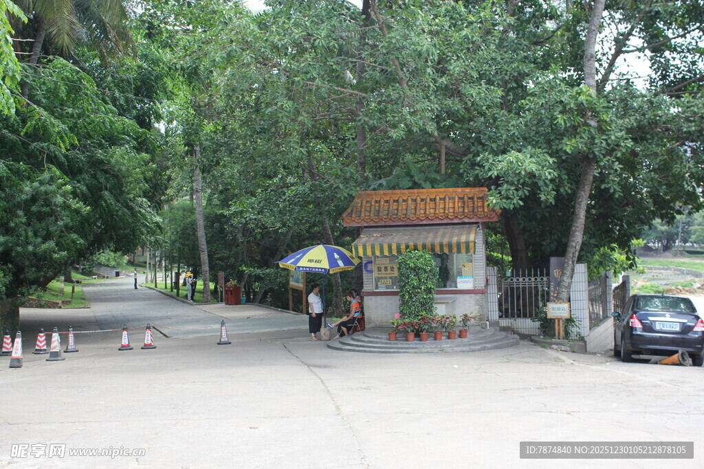 林荫下的入口场景