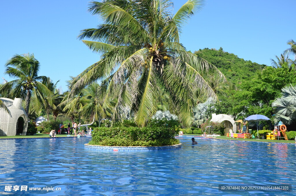 热带泳池边的惬意风光