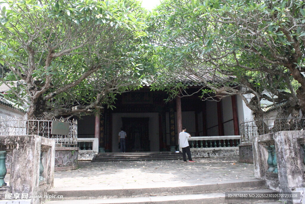 古树下的静谧小屋