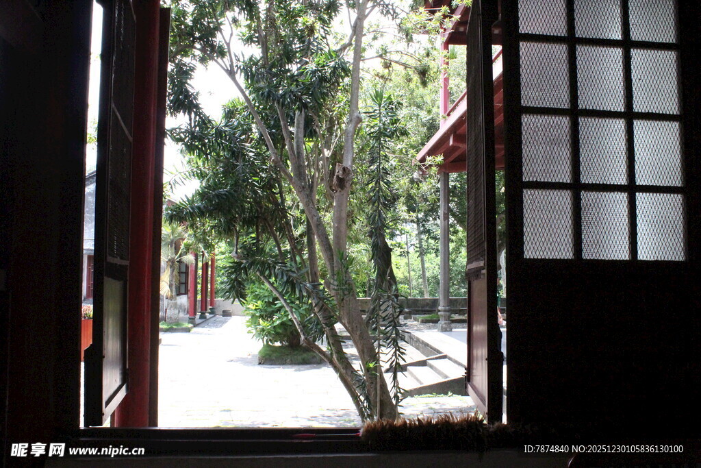 透过门窗望庭院绿植