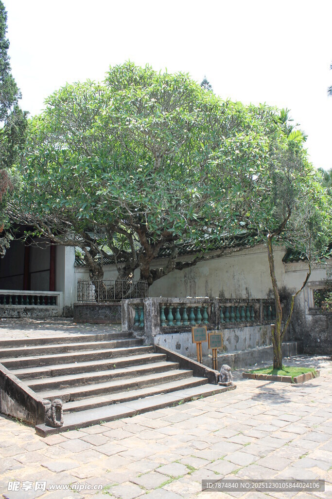 古朴庭院台阶与葱郁树木