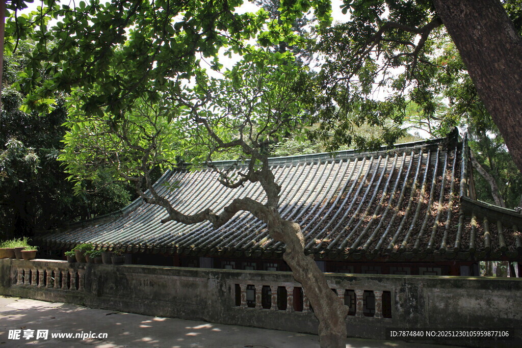 中式古建隐于葱郁绿树间