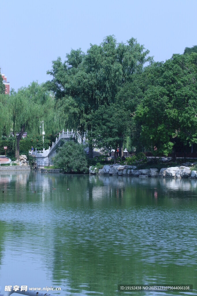 公园风景  