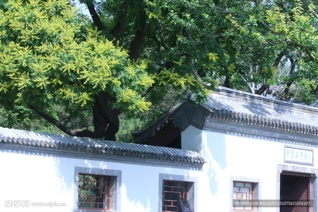公园风景 