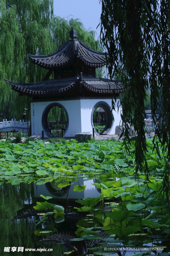 公园风景  