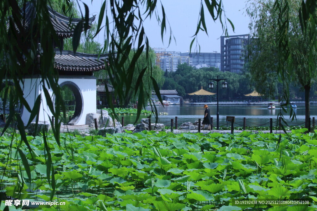 公园风景 