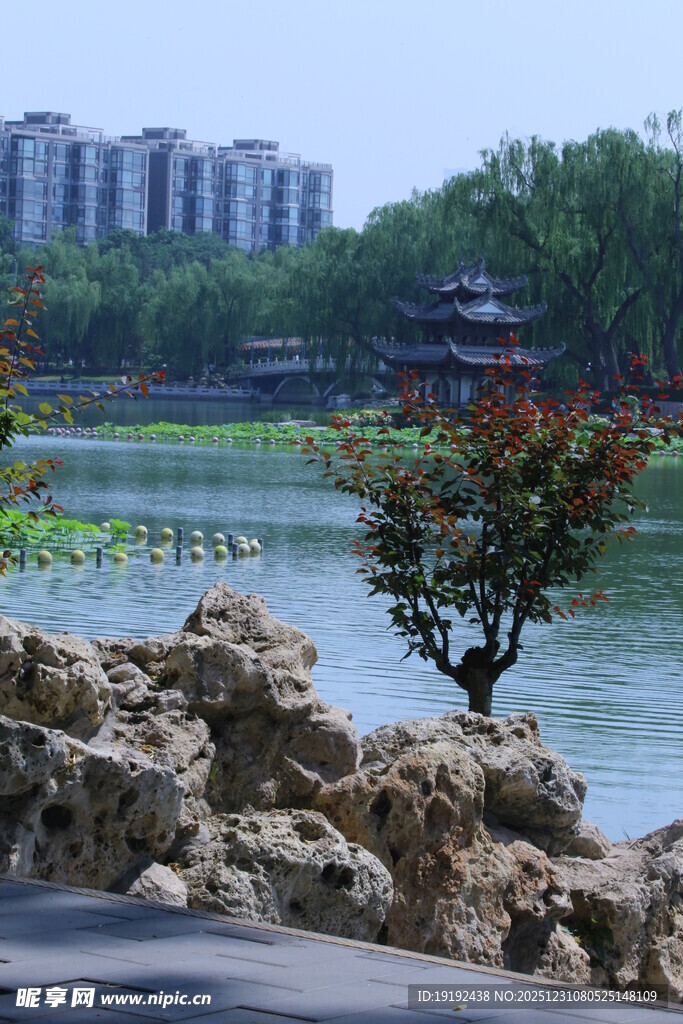 公园风景 