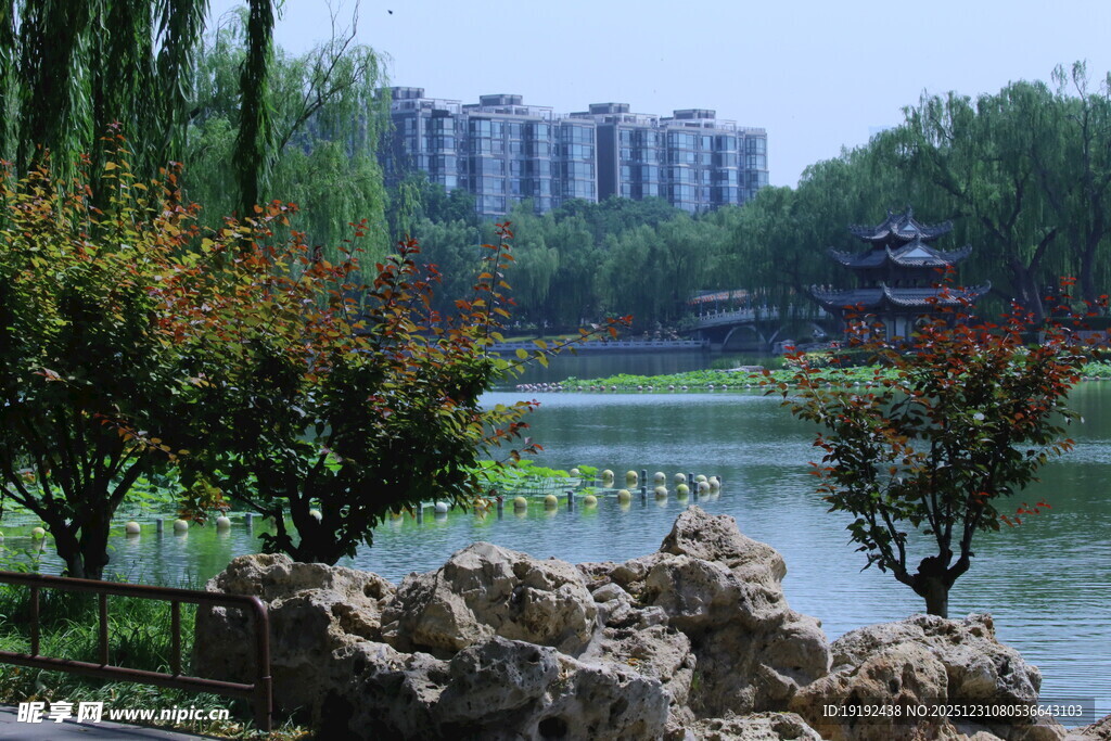 公园风景 
