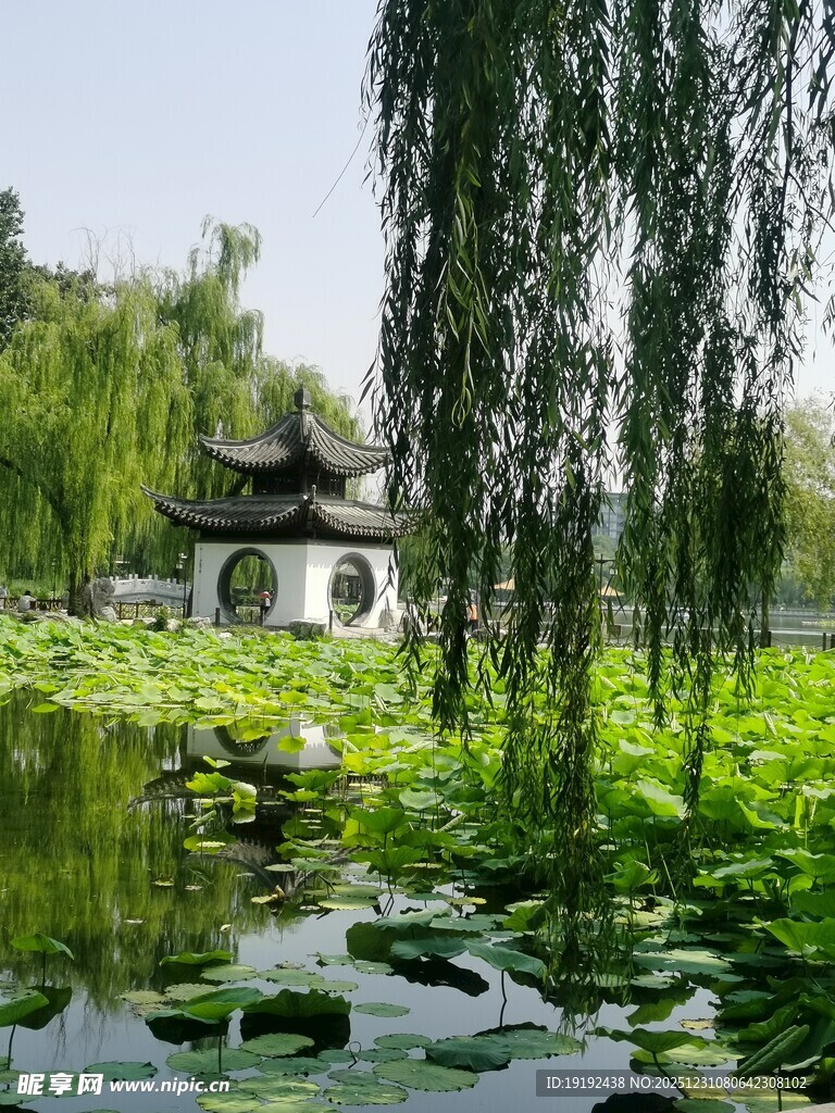 公园风景  