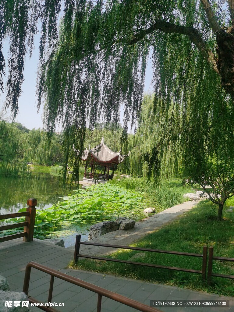 公园风景  