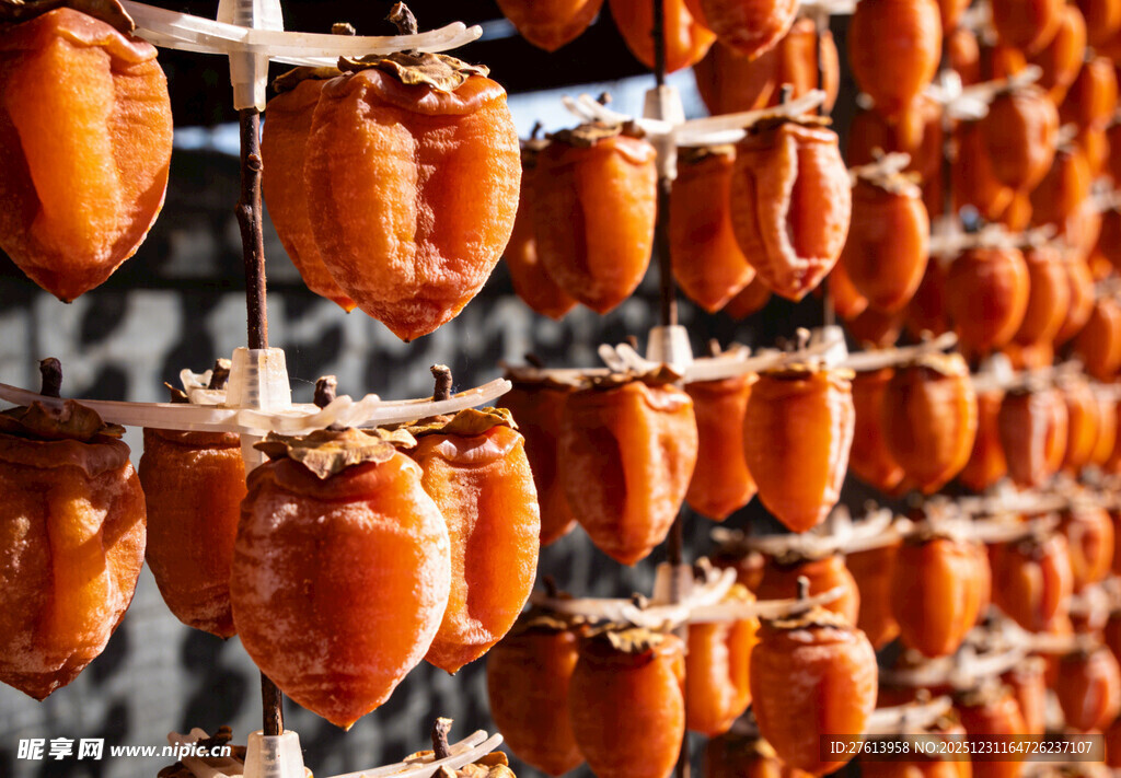 晾晒中的诱人柿饼