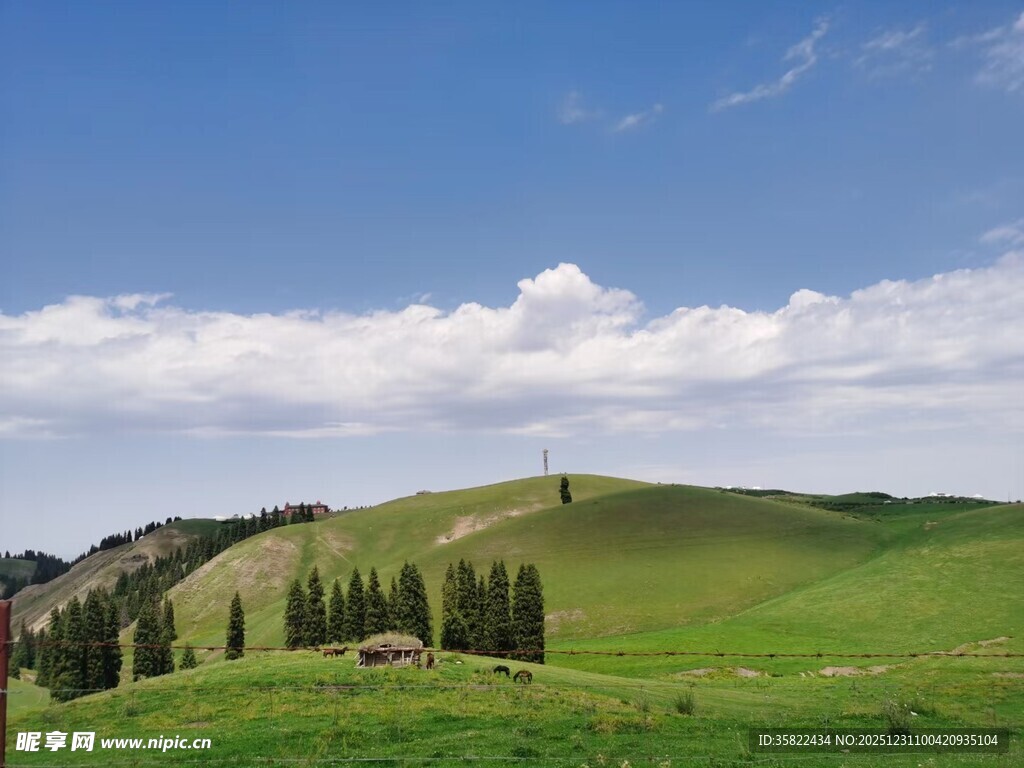 草原风光 绿意盎然的美景