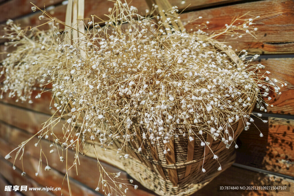 悬挂干花装饰 质朴美感