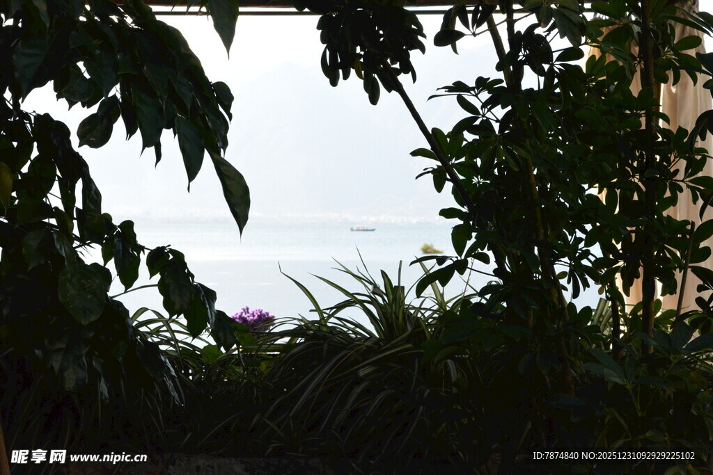 透过枝叶望窗外景色